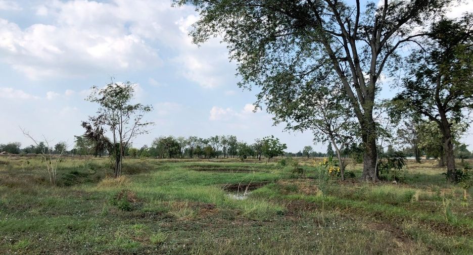 For sale land in Khok Samrong, Lopburi