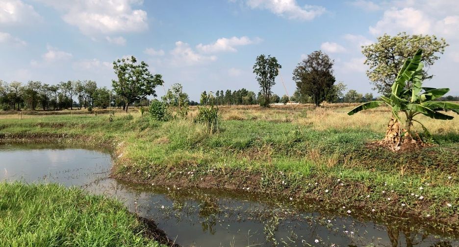 For sale land in Khok Samrong, Lopburi