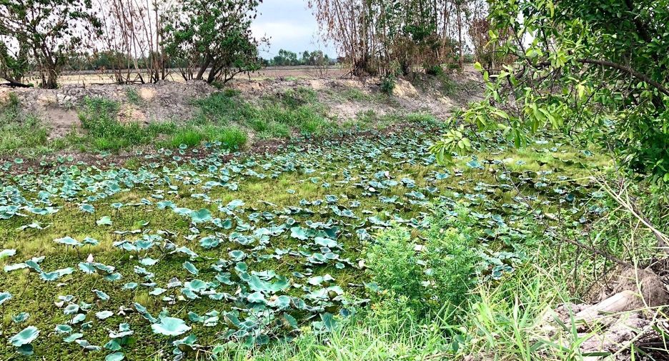 For sale land in Ban Na, Nakhon Nayok