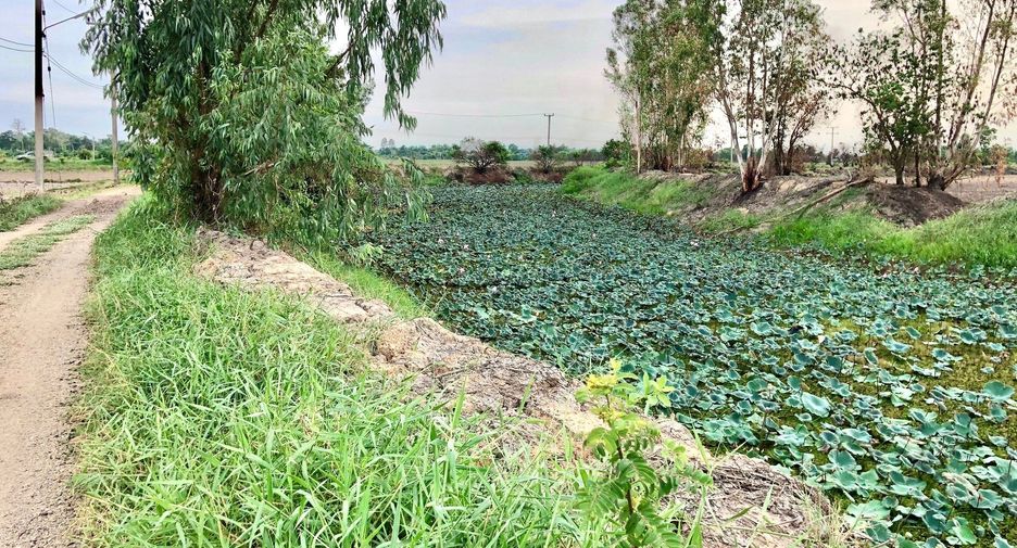 For sale land in Ban Na, Nakhon Nayok