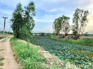 ขาย ที่ดิน ใน บ้านนา, นครนายก