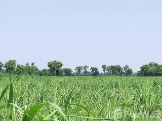 For sale land in Non Sung, Nakhon Ratchasima