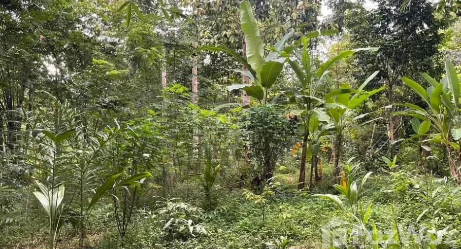 For sale land in Tha Mai, Chanthaburi