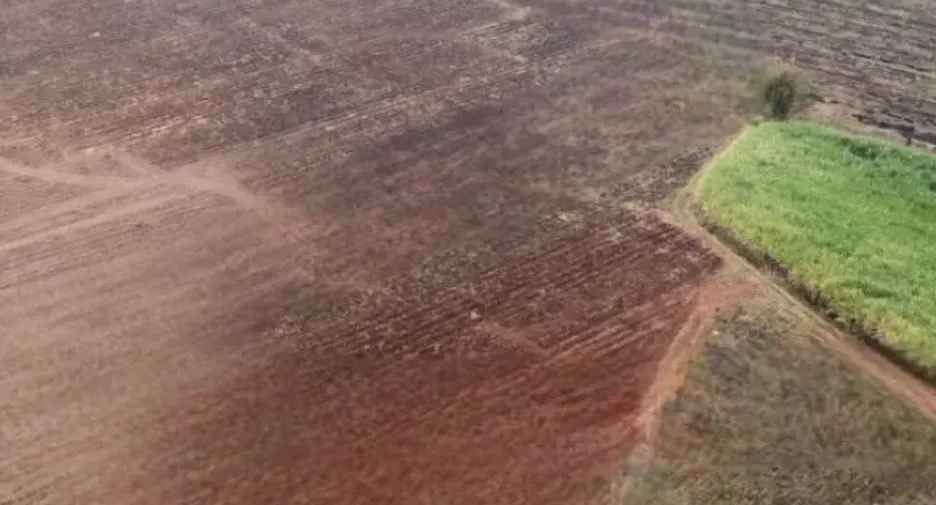 For sale land in Bamnet Narong, Chaiyaphum