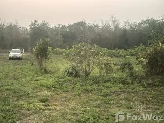 For sale land in Chiang Dao, Chiang Mai