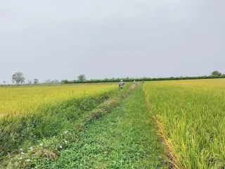 For sale land in Khanu Woralaksaburi, Kamphaeng Phet