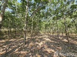 Terreno en venta en Kaeng Hang Maeo, Chanthaburi
