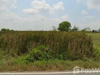 ขาย ที่ดิน ใน บางน้ำเปรี้ยว, ฉะเชิงเทรา