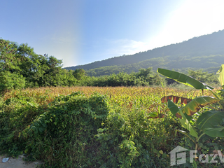 For sale land in Pak Thong Chai, Nakhon Ratchasima