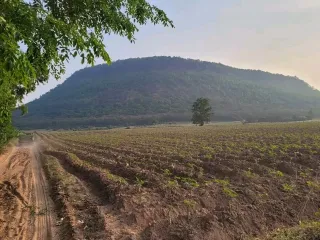 For sale land in Pak Thong Chai, Nakhon Ratchasima