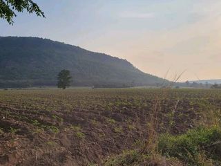 For sale land in Pak Thong Chai, Nakhon Ratchasima