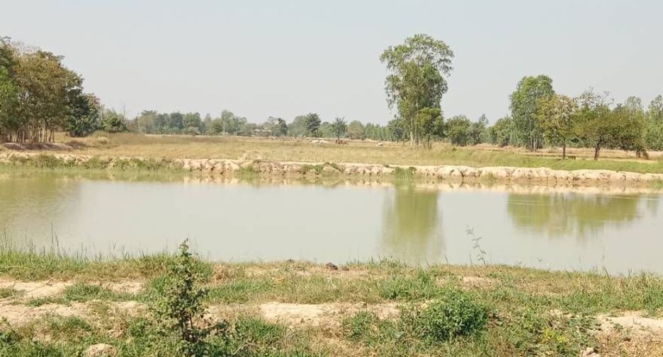 For sale land in Don Chedi, Suphan Buri
