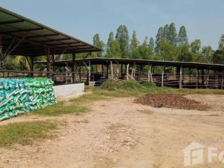 出售 土地 在 Don Chedi, Suphan Buri