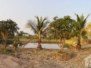 For sale land in Lat Lum Kaeo, Pathum Thani
