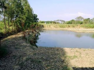 For sale land in Lat Lum Kaeo, Pathum Thani