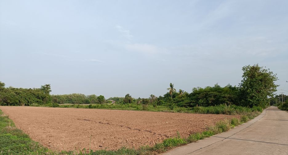 For sale land in Mueang Phitsanulok, Phitsanulok