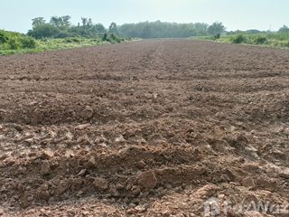 For sale land in Mueang Phitsanulok, Phitsanulok