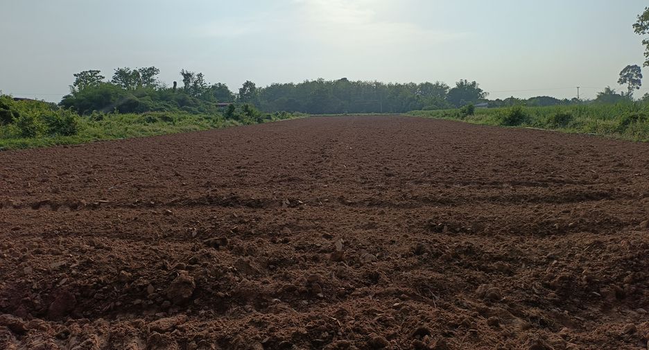 For sale land in Mueang Phitsanulok, Phitsanulok