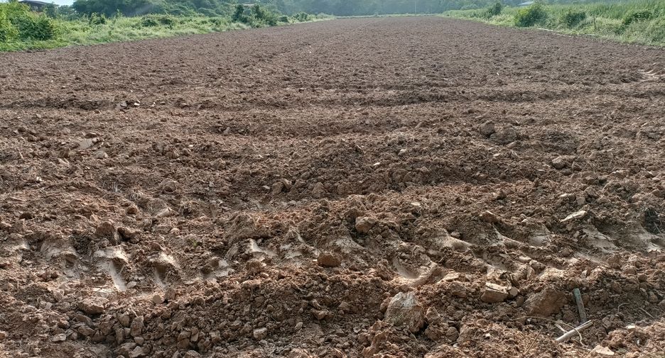 For sale land in Mueang Phitsanulok, Phitsanulok