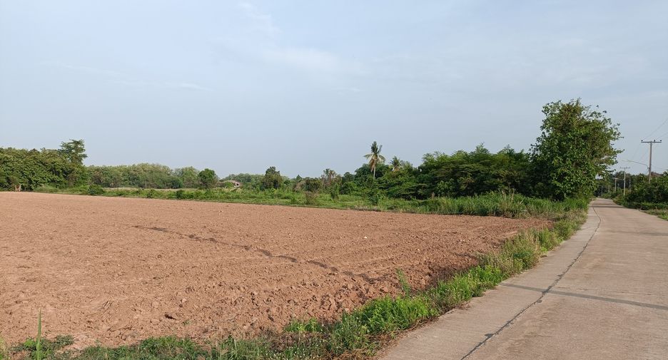 For sale land in Mueang Phitsanulok, Phitsanulok