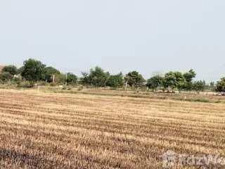 For sale land in Song Phi Nong, Suphan Buri