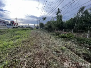 Продажа Участок в Nam Phong, Кхонкен