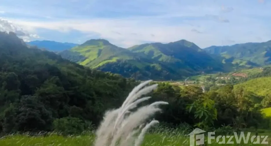 Terreno en venta en Pua, Nan