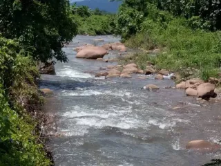 For sale land in Pua, Nan