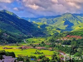 For sale land in Pua, Nan