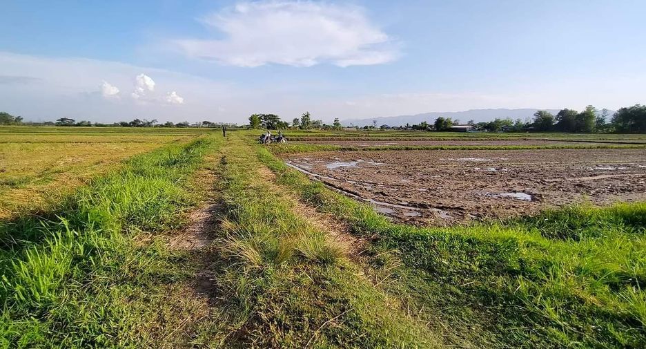 Grundstück zum Kauf in Phan, Chiang Rai