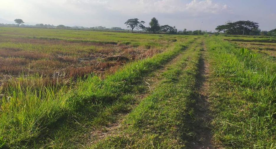 Grundstück zum Kauf in Phan, Chiang Rai