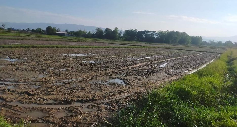 Grundstück zum Kauf in Phan, Chiang Rai