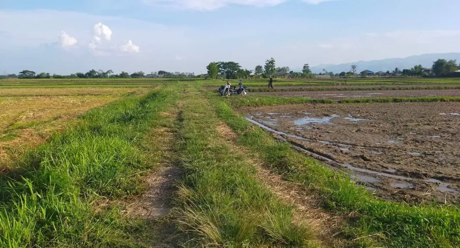 Grundstück zum Kauf in Phan, Chiang Rai