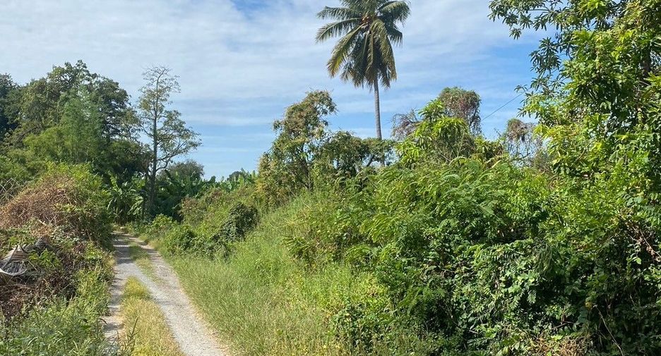 For sale land in Nakhon Luang, Phra Nakhon Si Ayutthaya