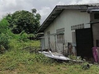 For sale land in Tha Sala, Nakhon Si Thammarat
