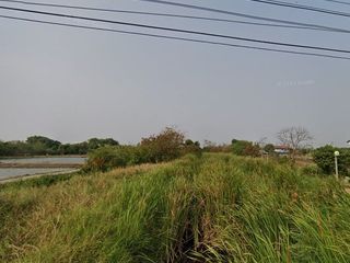 For sale land in Bang Pakong, Chachoengsao