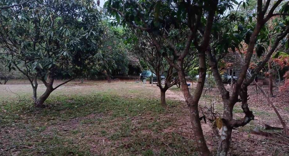 For sale land in Na Di, Prachin Buri