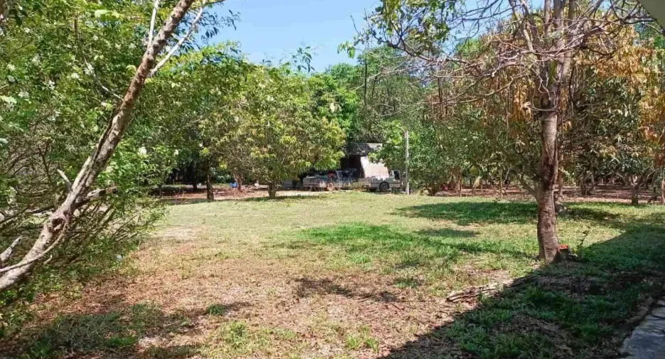For sale land in Na Di, Prachin Buri