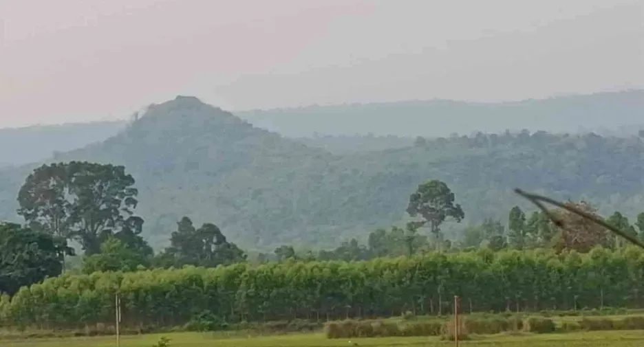 For sale land in Na Di, Prachin Buri