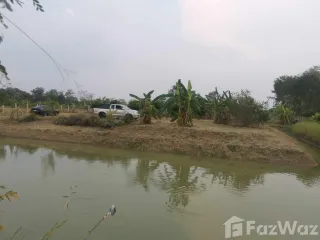 出售 土地 在 Nong Saeng, Saraburi