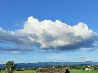 For sale land in Wiang Pa Pao, Chiang Rai
