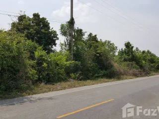 出售 土地 在 Hankha, Chai Nat