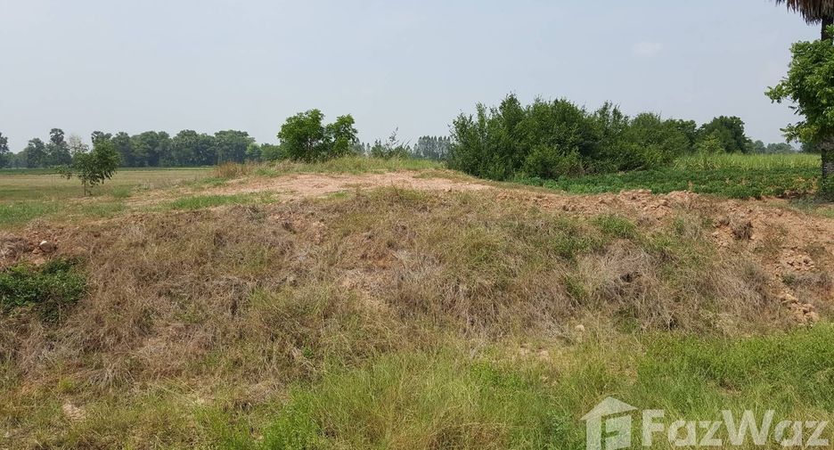For sale land in Hankha, Chainat