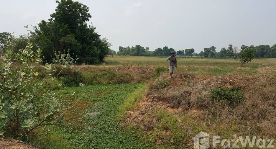 For sale land in Hankha, Chainat