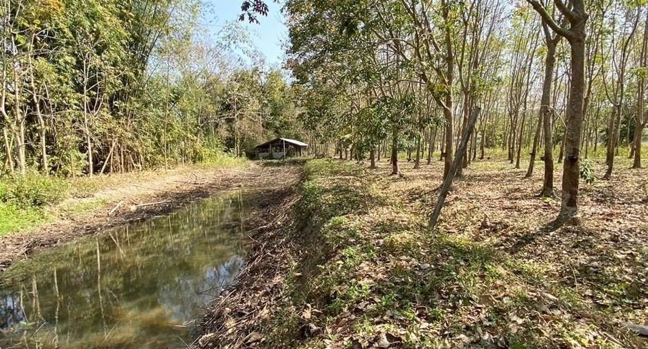 出售 土地 在 Wiang Pa Pao, Chiang Rai
