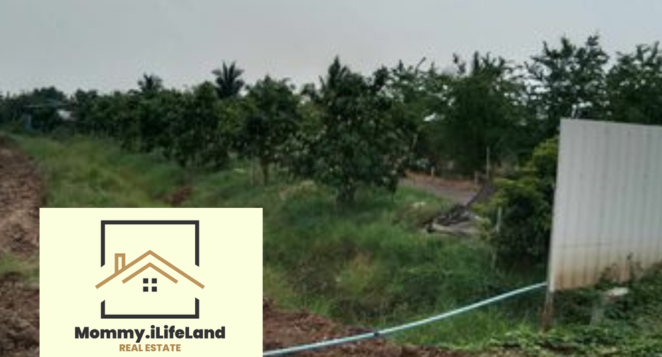 Grundstück zum Kauf in Khong, Nakhon Ratchasima