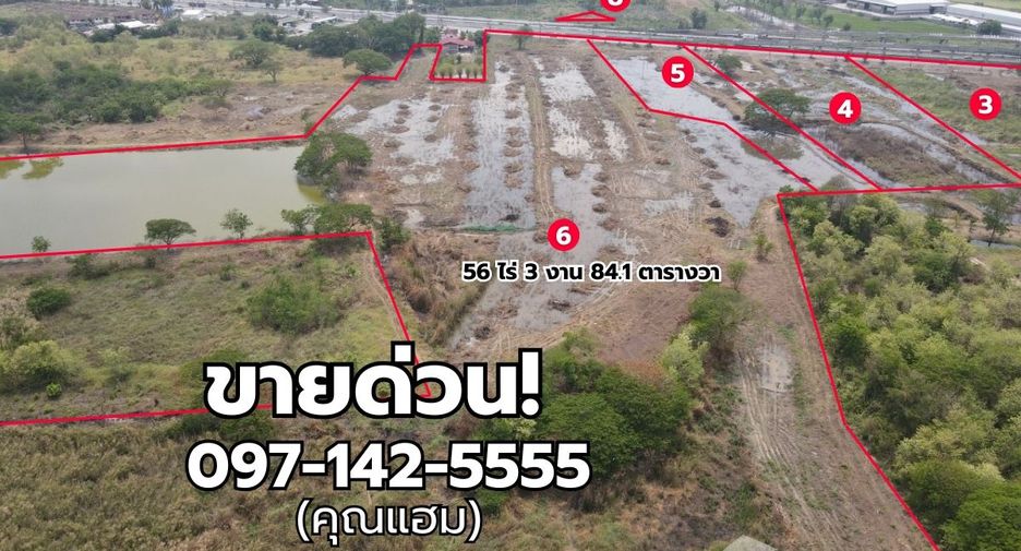 ขาย ที่ดิน ใน สามโคก, ปทุมธานี