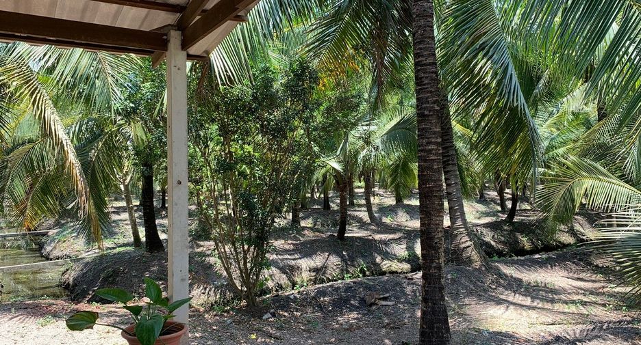 À vendre terrain à Bang Khonthi, Samut Songkhram