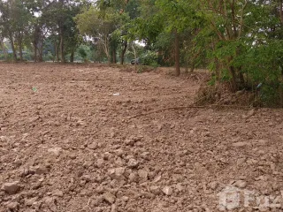 For sale land in Si Maha Phot, Prachin Buri