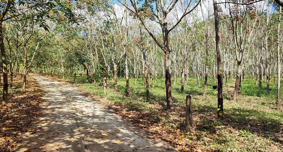 For sale land in Pak Chom, Loei